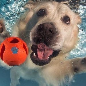 Meet your Posher, Aron